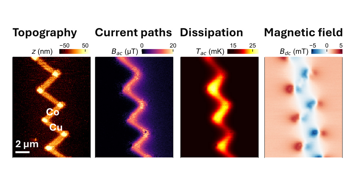 Multimodal SQUID-AFM imaging of key chip properties