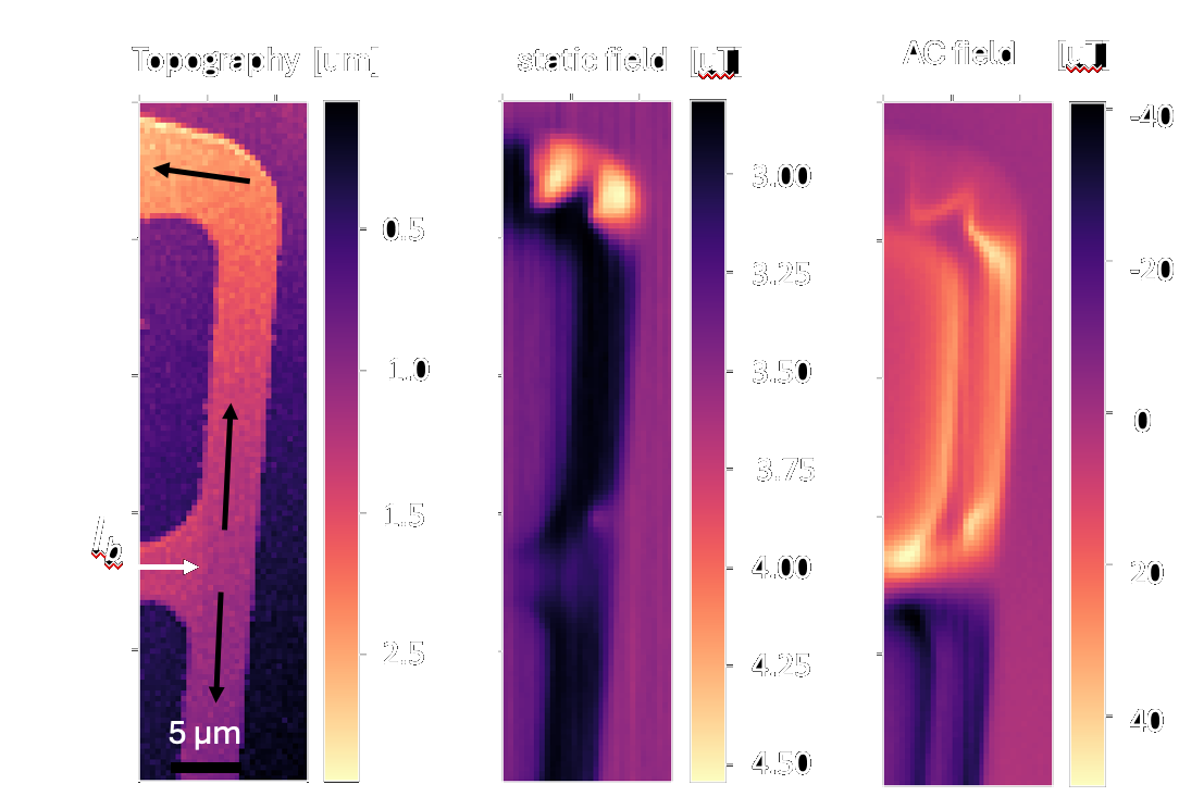 Scan of a quantum chip: topography, static field and AC field