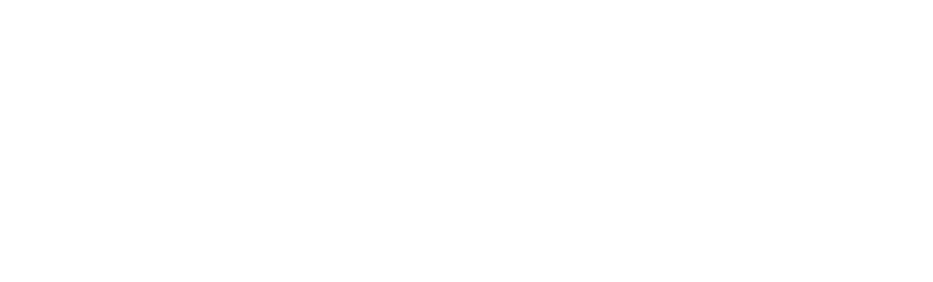 Quantum Delta NL